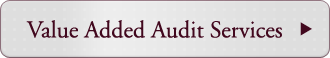 Value Added Audit Services